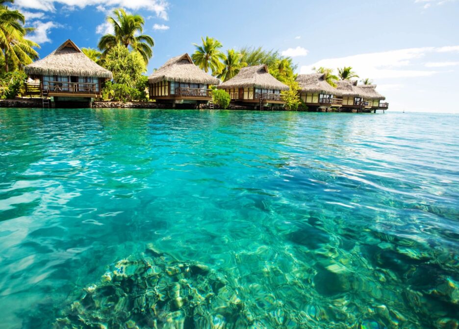 Tourism, Hospitality & Leisure