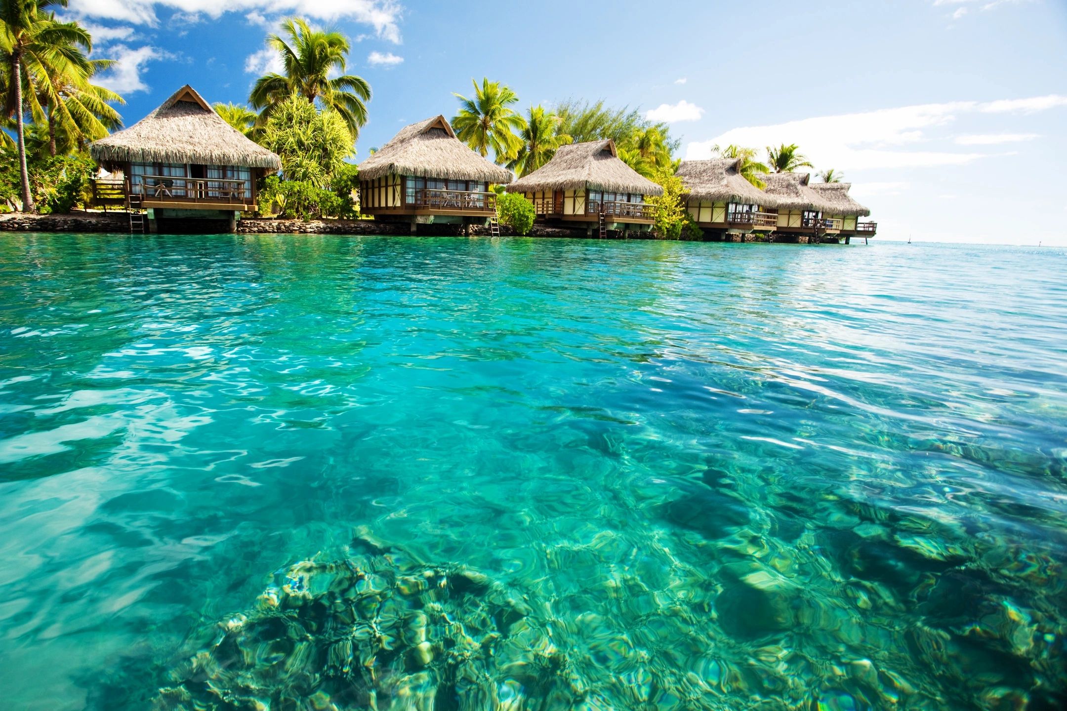 Tourism, Hospitality & Leisure