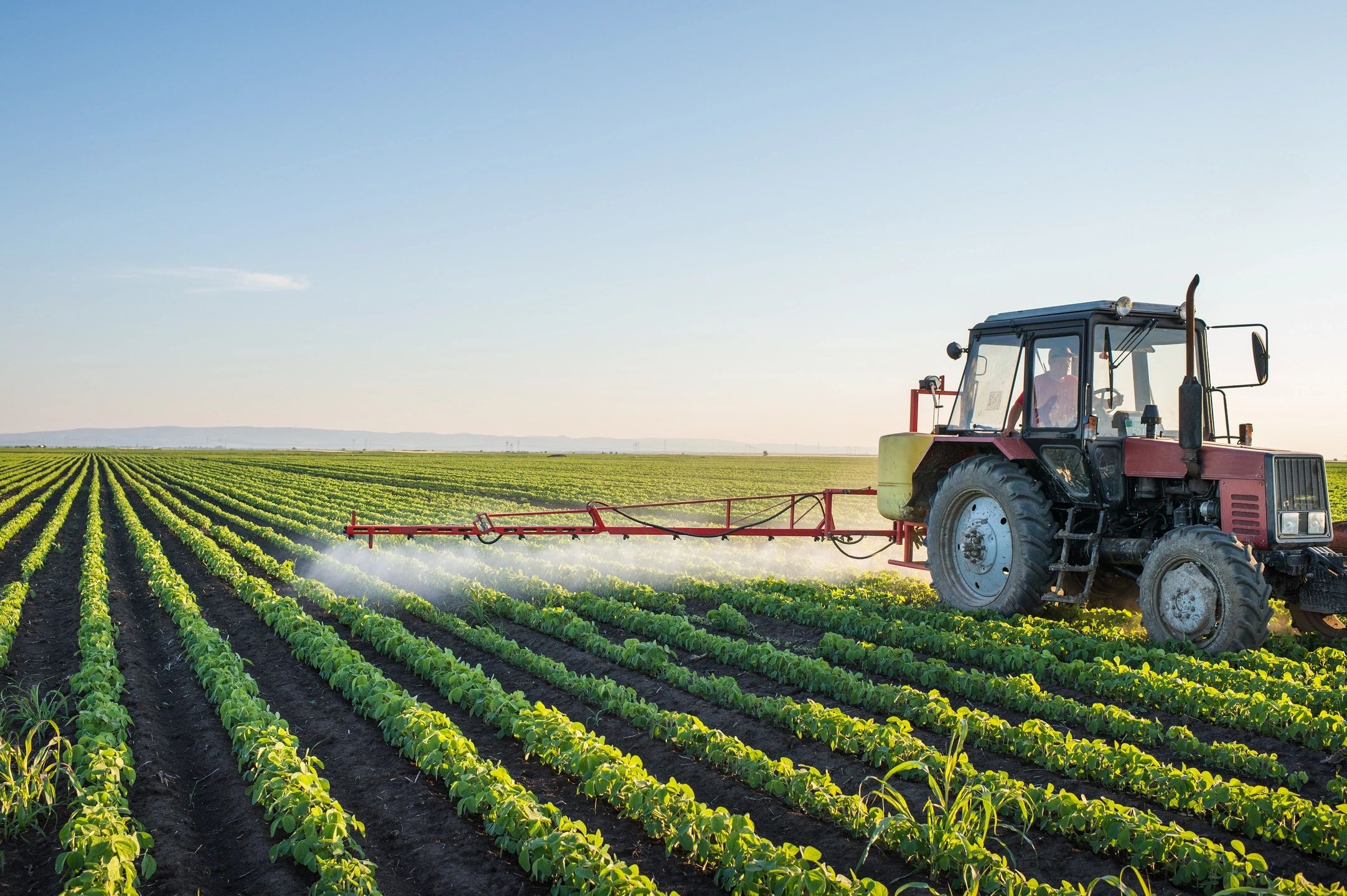 Agriculture & Agribusiness